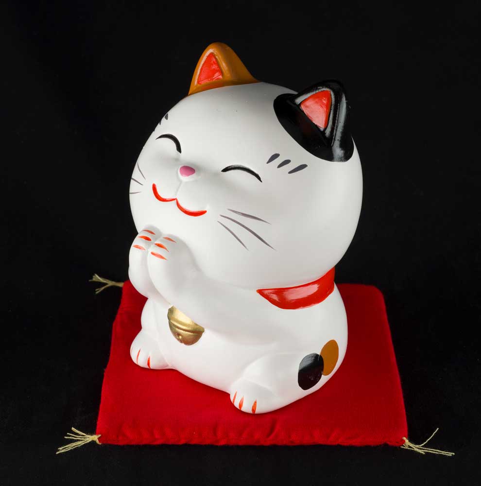 Picchetto Da Ghiaccio Grivel G Zero - 58 Cm, CE | Per Alpinismo E Arrampicata - Foto 13